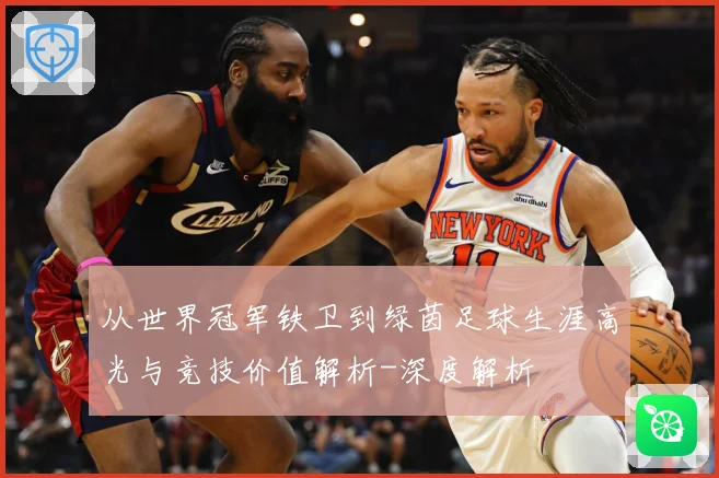 从世界冠军铁卫到绿茵足球生涯高光与竞技价值解析-深度解析